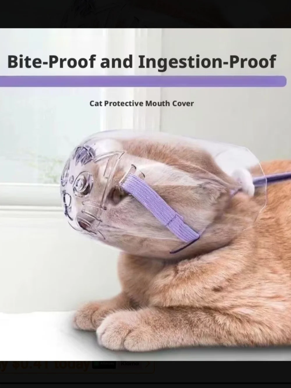 Cat Protective Face Shield with Adjustable Purple Strap